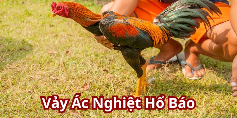 Vảy Ác Nghiệt Hổ Báo - Lựa chọn hàng đầu dành cho game thủ Vảy Ác Nghiệt Hổ Báo - Lựa chọn hàng đầu dành cho game thủ