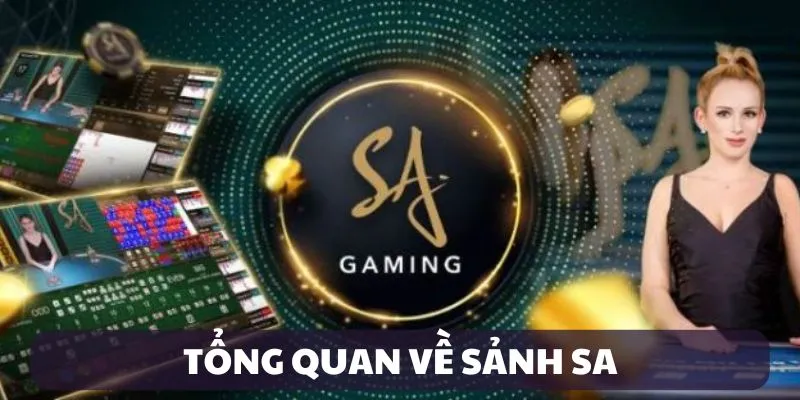 Giới thiệu về sảnh SA Giới thiệu về sảnh SA